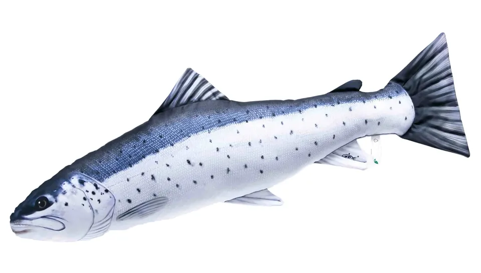 Gaby Gigant cuscino pesce trota 50 cm per bambini morbido