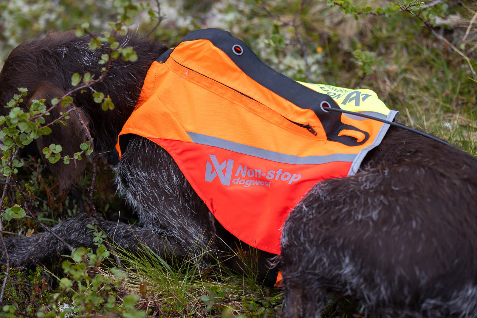 Non-Stop Dogwear Protector Vest GPS 2.0 pettorina cane