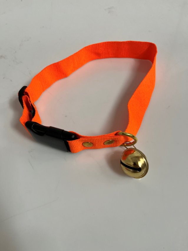 Collare cane con campanello arancione 56 cm alta visibilità