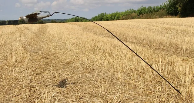 Duesvupper Asta flessibile per richiami volo in vetroresina