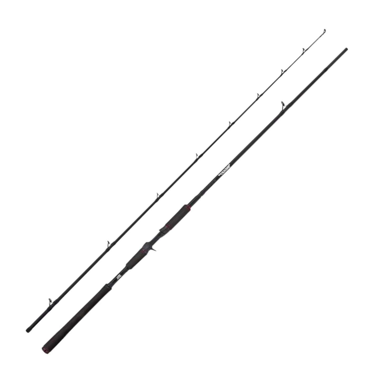 Abu Garcia Beast Cast canna casting luccio 8 ft 30-100 g