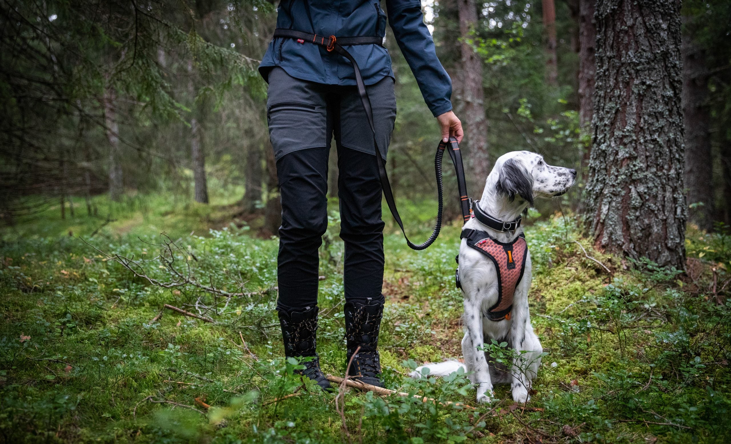 Non-Stop Dogwear Touring Bungee guinzaglio cane regolabile