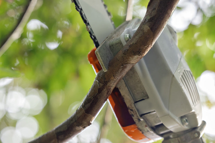 Stihl HTA 86 potatore telescopico a batteria solo corpo 270-390 cm