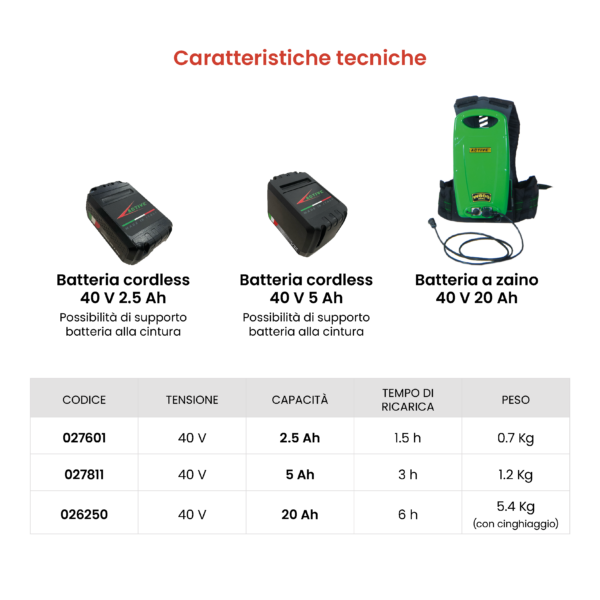 Technogarden E 5000 abbacchiatore olive 40 V