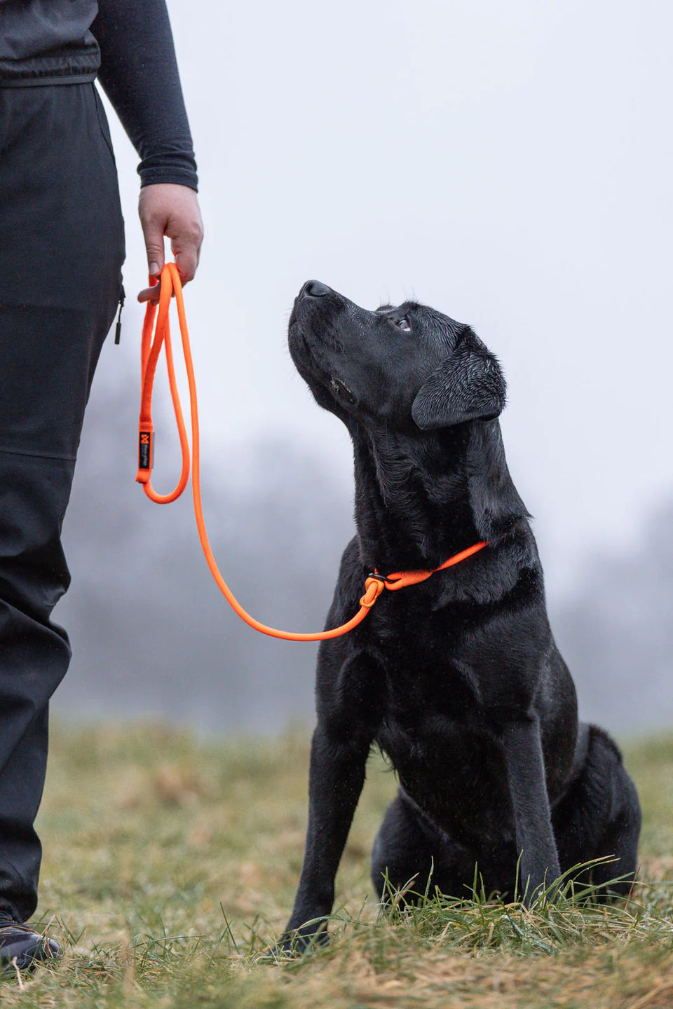 Non-stop Dogwear Retriever guinzaglio cane 1,6 m nero 6 mm