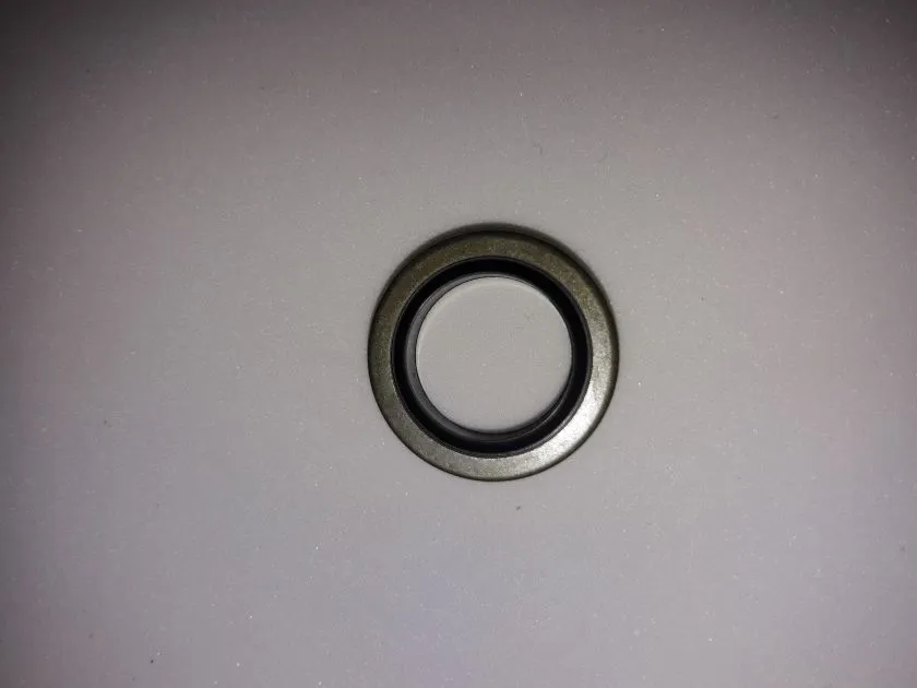 Egholm 2150 Perkins guarnizione tappo coppa E01020080