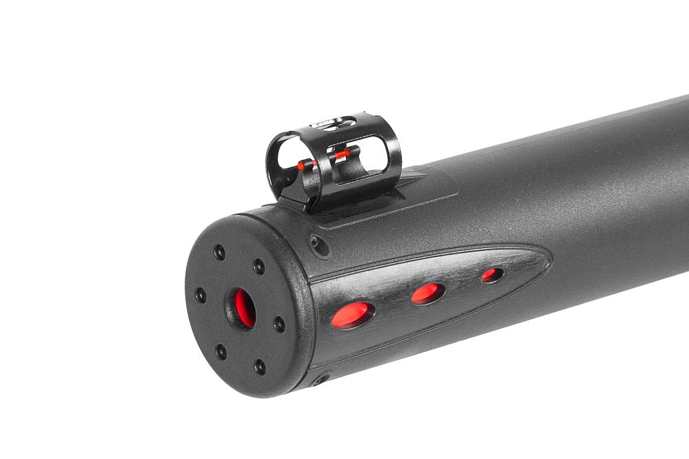 Gamo Arrow PCP carabina 4,5 mm set pompa e ottica
