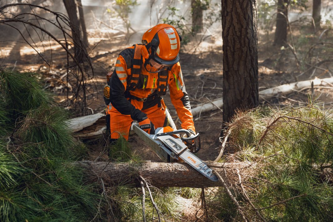 STIHL MSA 260 C-O Motosega a Batteria Professionale