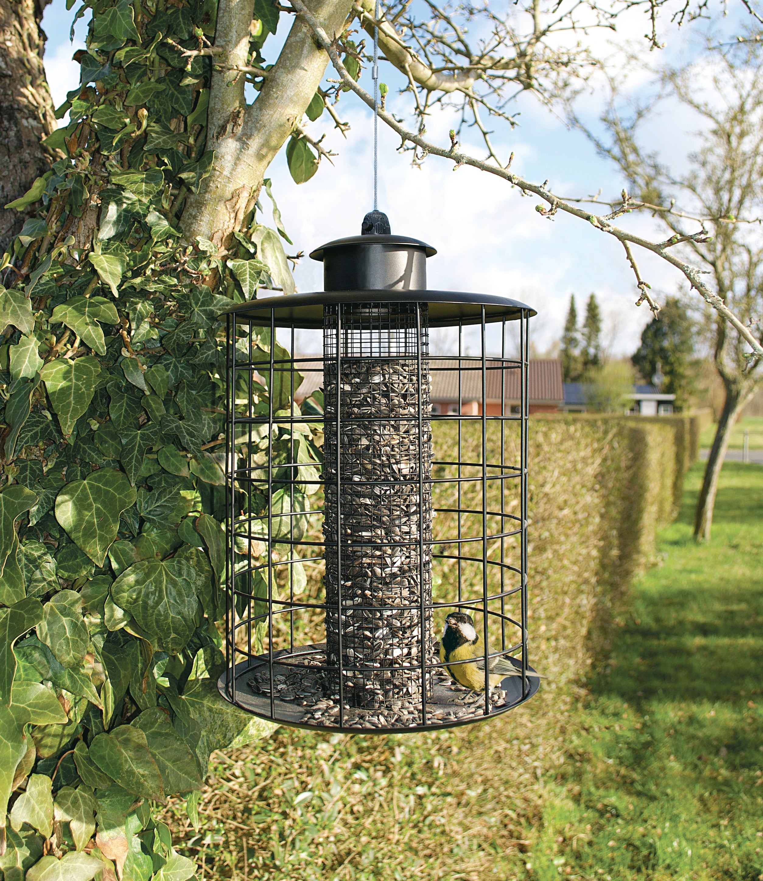 Ryom mangiatoia uccelli con protezione noci e semi 33 cm