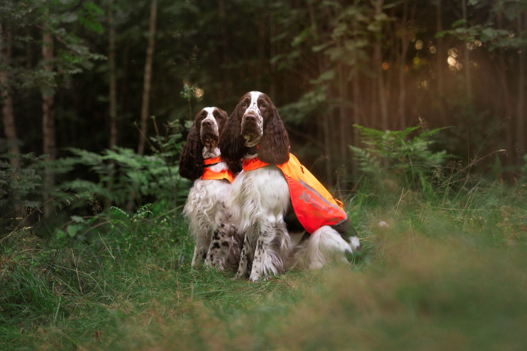 Non-stop Dogwear Protector Cover 2.0 giubbotto cane arancione