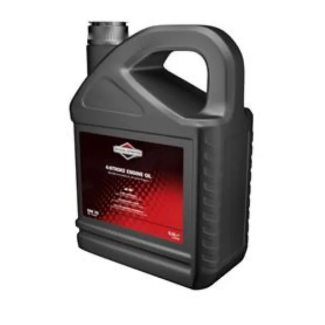 Briggs & Stratton SAE 30 olio motore 5 L