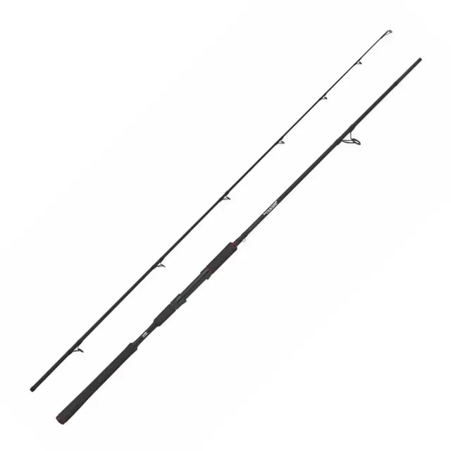 Abu Garcia Beast Spin canna spinning luccio 8ft 40-90g