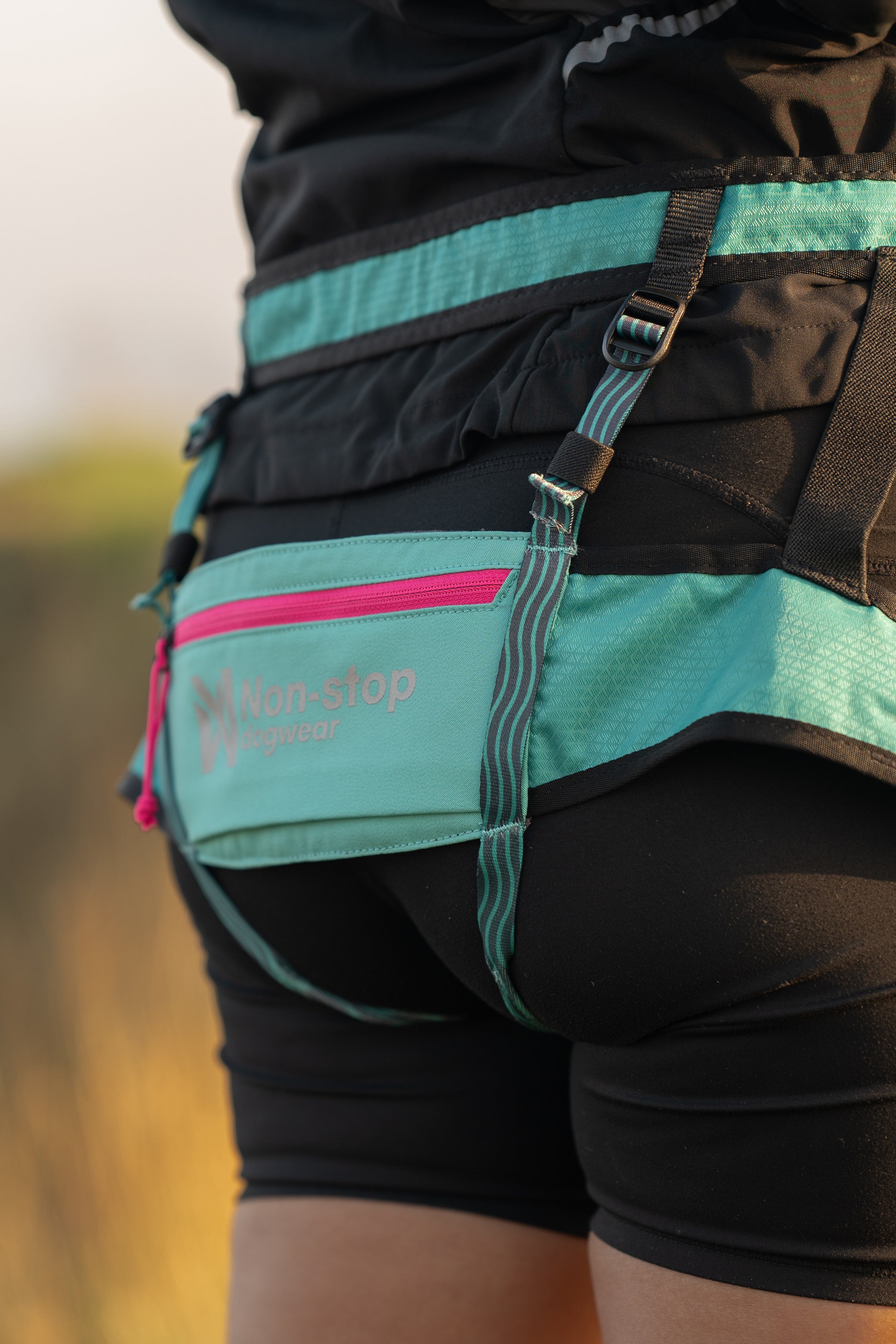 Non-stop Dogwear CaniX Belt 2.0 cintura M aqua