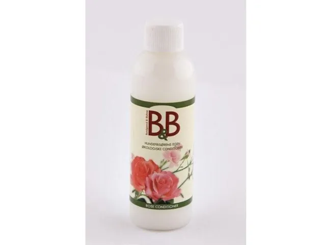 BB Rose conditioner officina manutenzione
