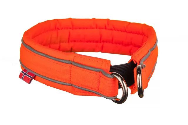 Non-Stop Dogwear Safe Collar collare cane arancione