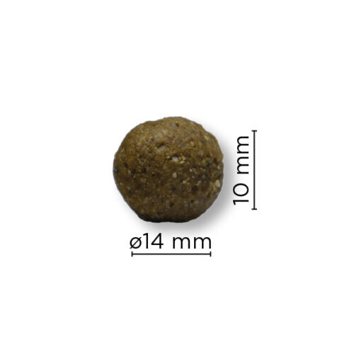 Arion Original Skin Coat M crocchette salmone 12 kg