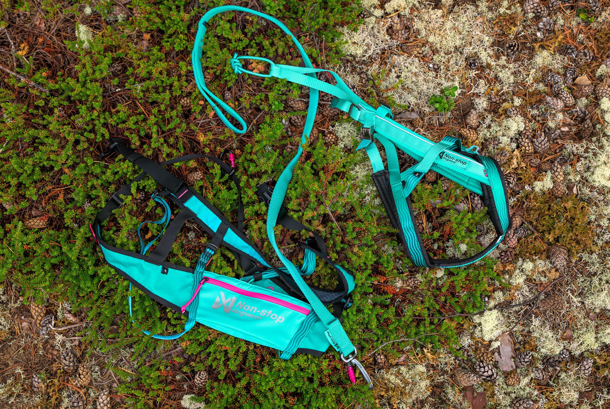 Non-stop Dogwear CaniX Belt 2.0 cintura M aqua