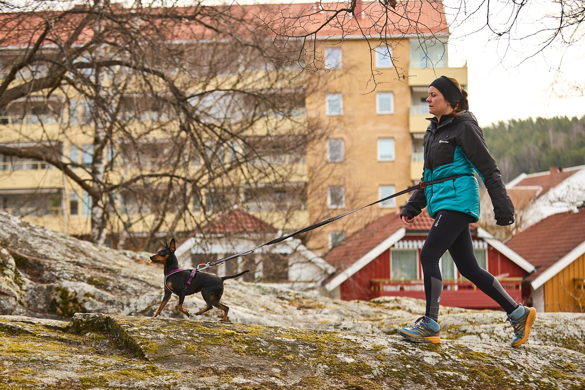 Non-Stop Dogwear Touring Bungee guinzaglio cane regolabile