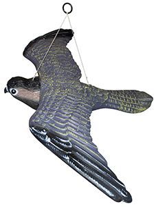 RYOM Flyvende Rovfugl spaventapasseri 54 cm