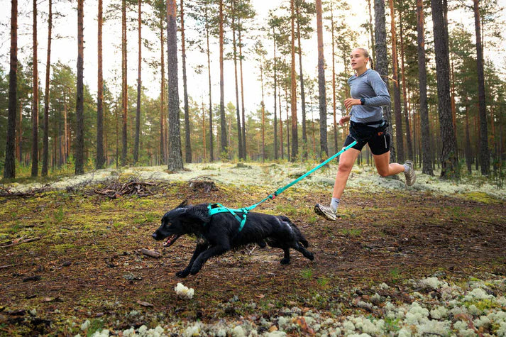 Non-stop Dogwear Bungee Leash Aqua guinzaglio 2,0 m 23 mm