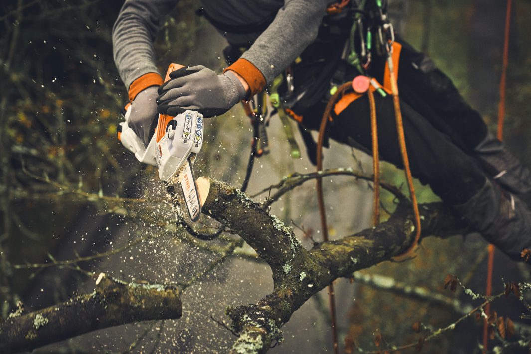 Stihl GTA 40 barra potatore 15 cm 6" 1,1 mm