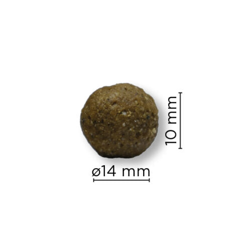 Arion Original Maintenance M Crocchette Cane Pollo Riso 12 kg