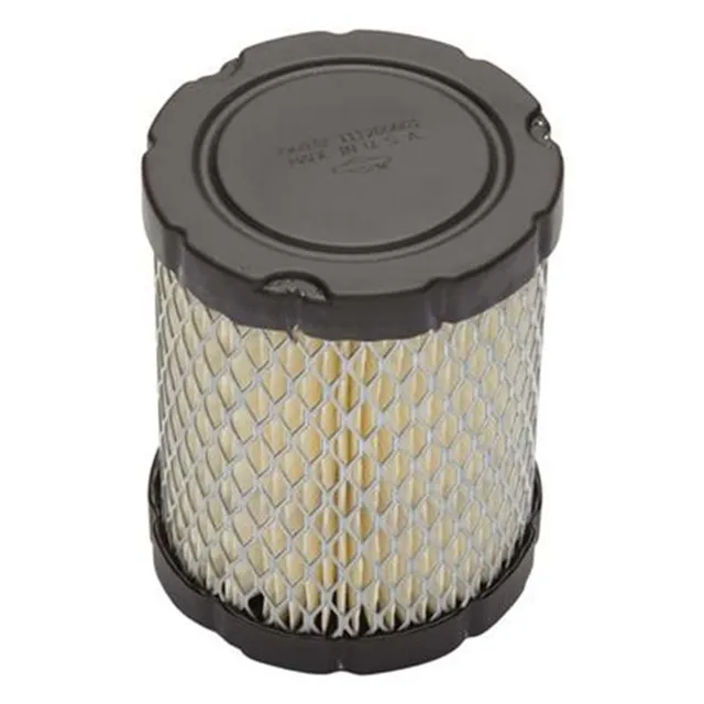 Briggs & Stratton filtro aria tosaerba originale