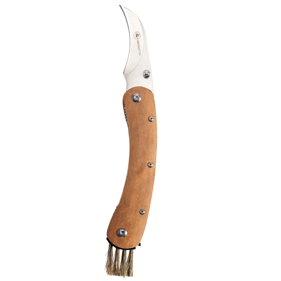 Brusletto Vedalen coltello funghi con spazzola