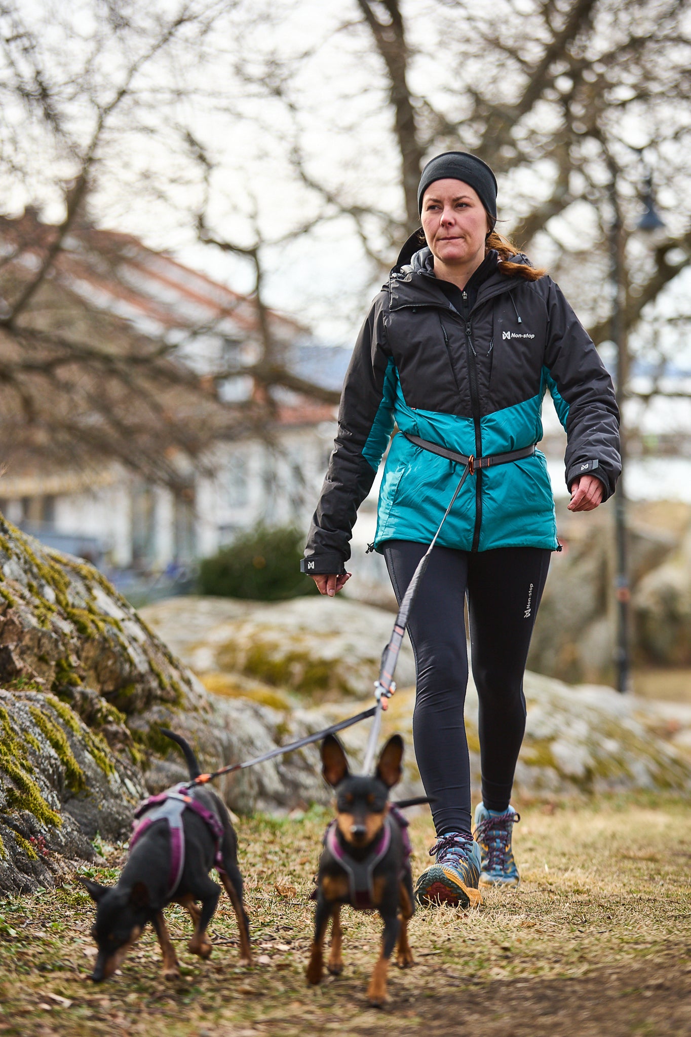 Non-Stop Dogwear Touring Bungee guinzaglio cane regolabile
