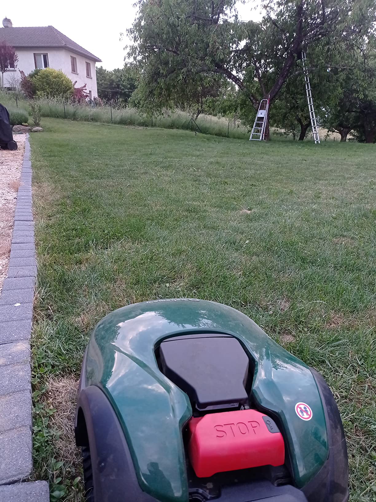 Robomow RK1000 robot tosaerba 1000 mq taglio 21 cm