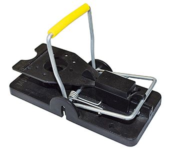 Ryom Super Smæk trappola topi 2 pezzi