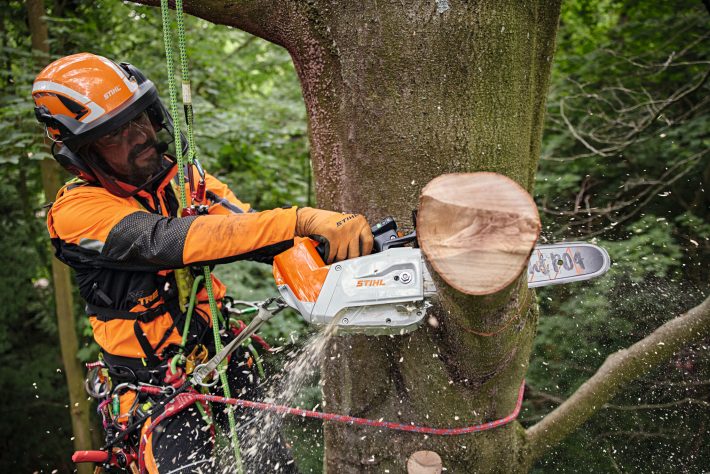 Stihl MSA 220 TC-O motosega a batteria professionale