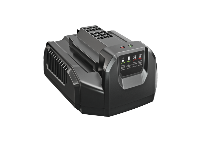 EGO CH2100E caricabatterie standard 210 W parete