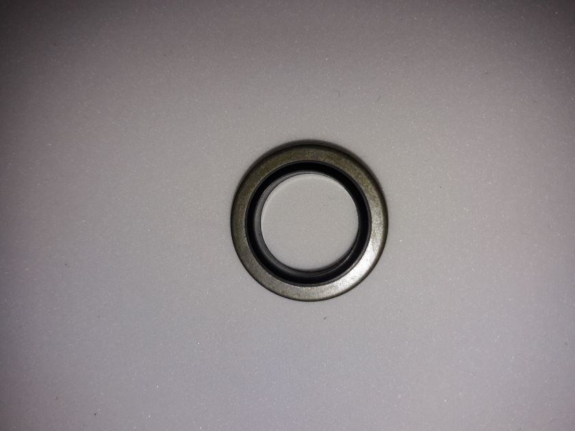 Egholm 2150 Perkins guarnizione tappo coppa E01020080