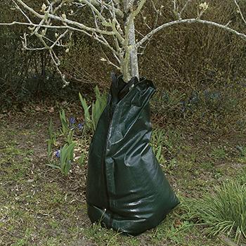 Ryom Sacca Irrigazione 75 Litri Verde Alberi