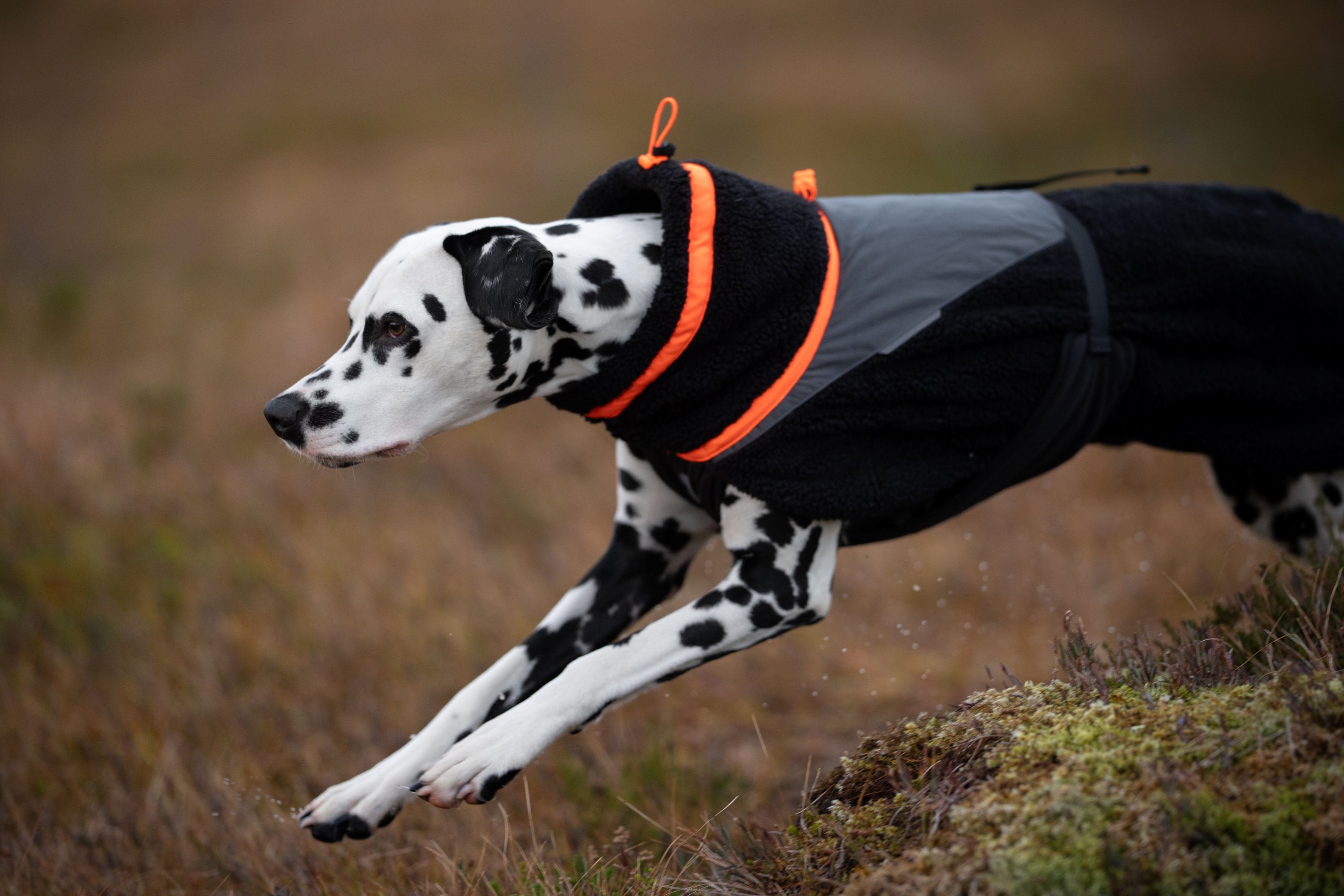 Non-stop Dogwear Trekking giacca cane pile nero arancione