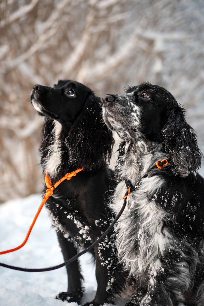 Non-stop Dogwear Retriever Guinzaglio Arancione 1,6 m