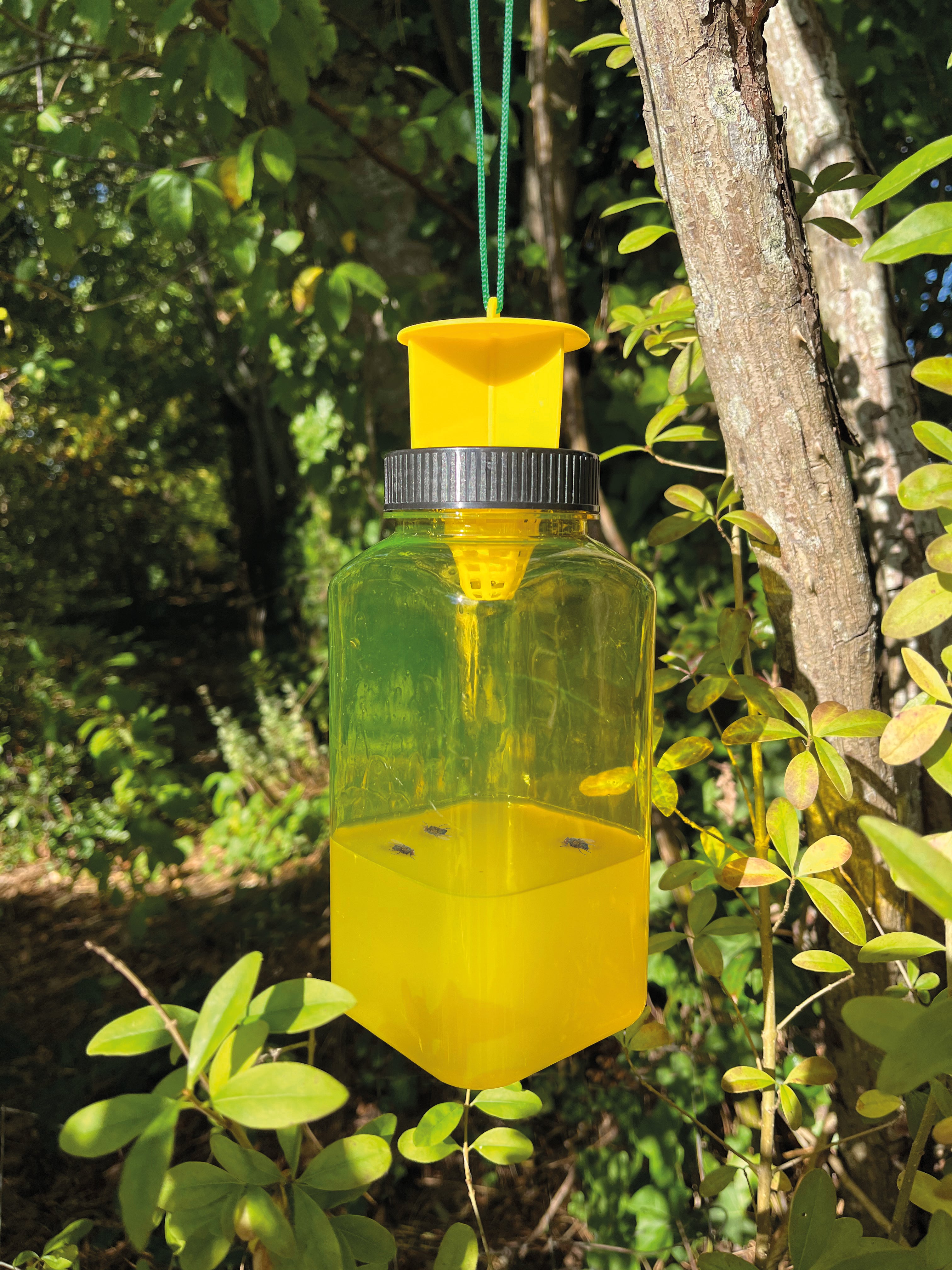 Ryom trappola mosche e vespe 2x1 L senza veleno riutilizzabile