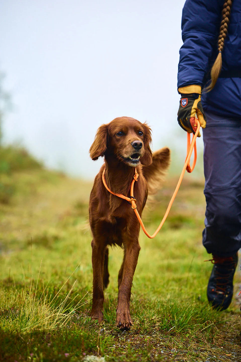 Non-stop Dogwear Retriever Guinzaglio Arancione 1,6 m