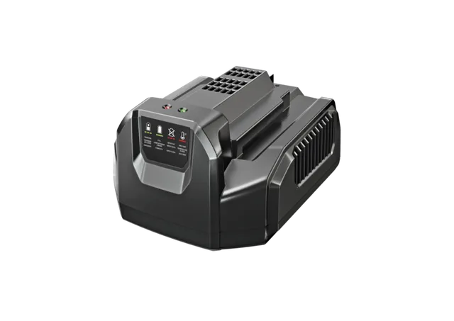 EGO CH2100E caricabatterie standard 210 W parete