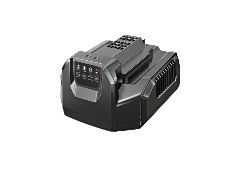 EGO CH2100E caricabatterie standard 210 W parete
