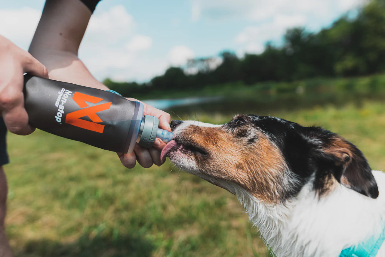 Non-Stop Dogwear Softflask borraccia 500 ml