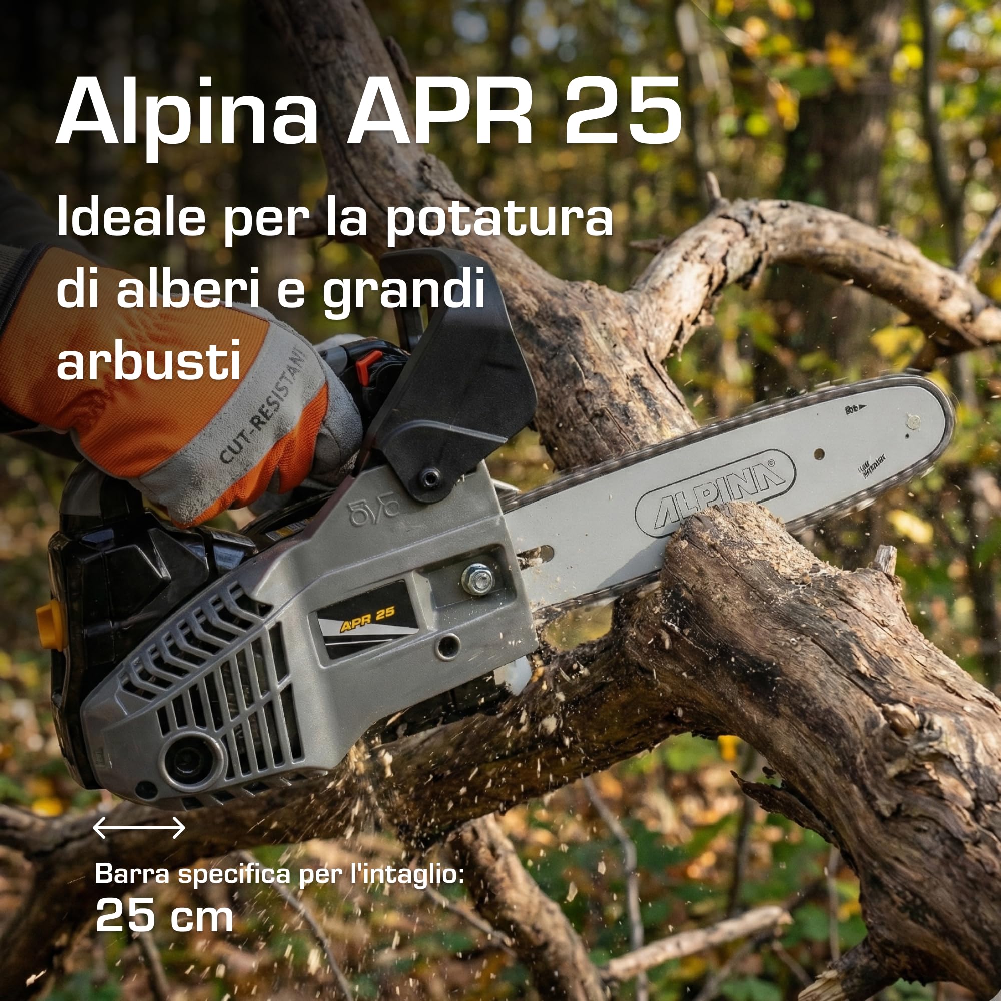Alpina APR 25 Motosega a Scoppio 25 cm 25,4 cc