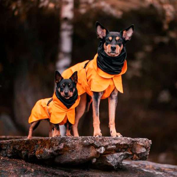Paikka Recovery cappotto cane impermeabile riflettente leggero