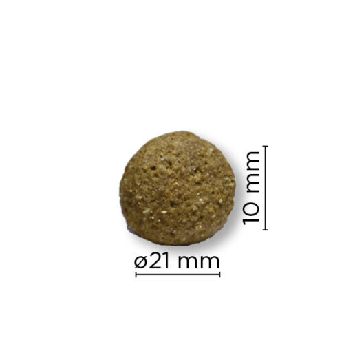 Arion Original Skin Coat L crocchette salmone riso 12 kg