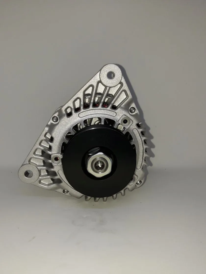 Egholm generatore 65 A 2150 2250 Perkins