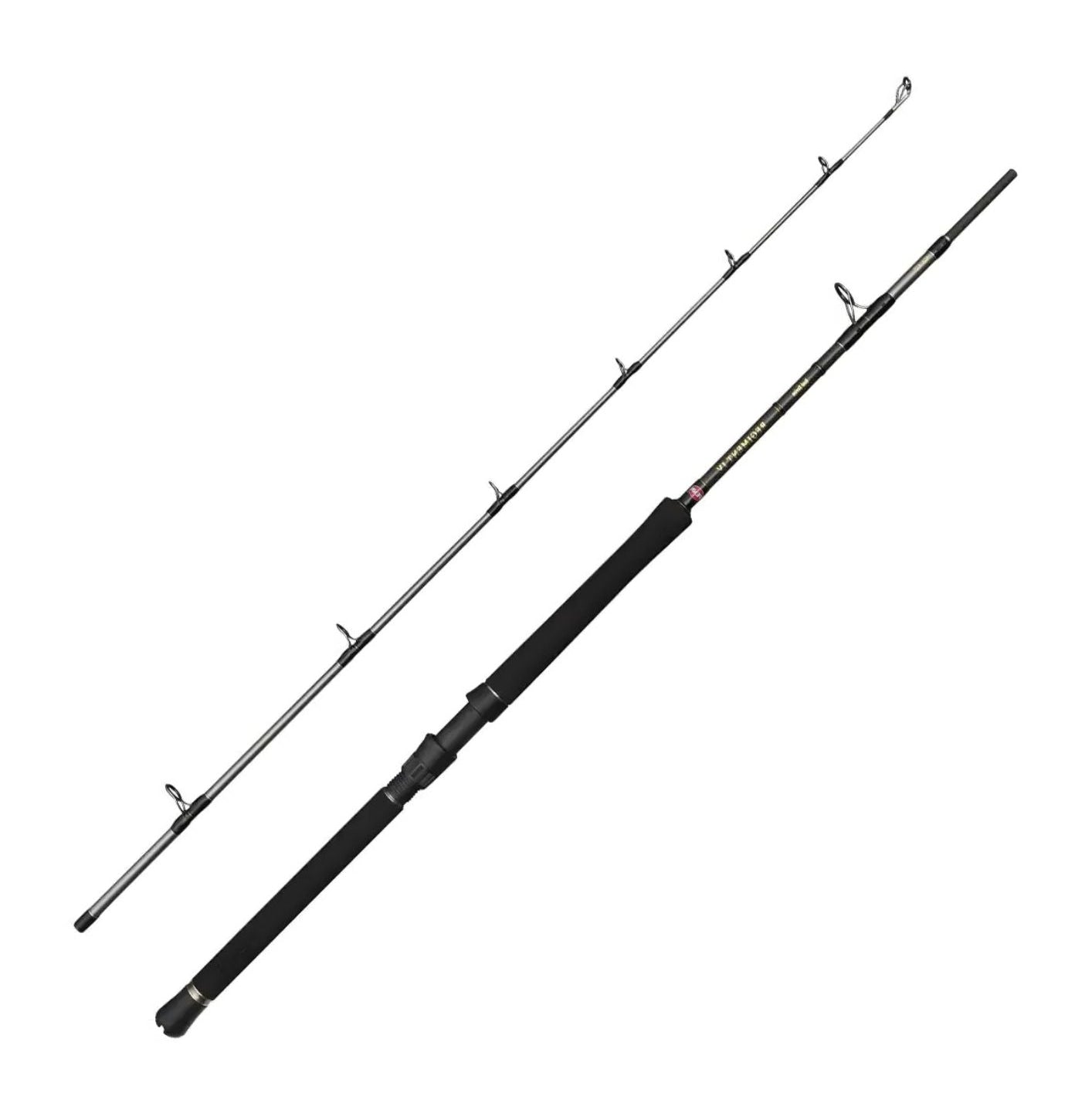 Penn Regiment IV Boat canna da mare 7' 12-20 lb carbonio