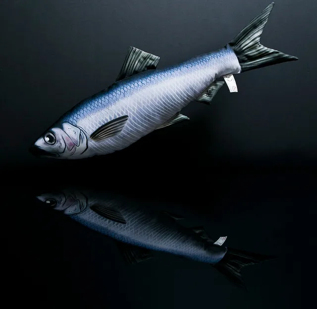 Gaby Baby Sild esca da pesca per bambini