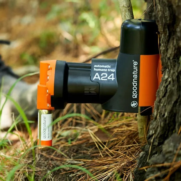 Goodnature A24 trappola topi e ratti automatica CO2 senza veleno