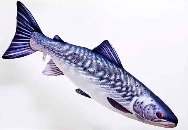Gaby cuscino salmone cuscino pesce decorativo